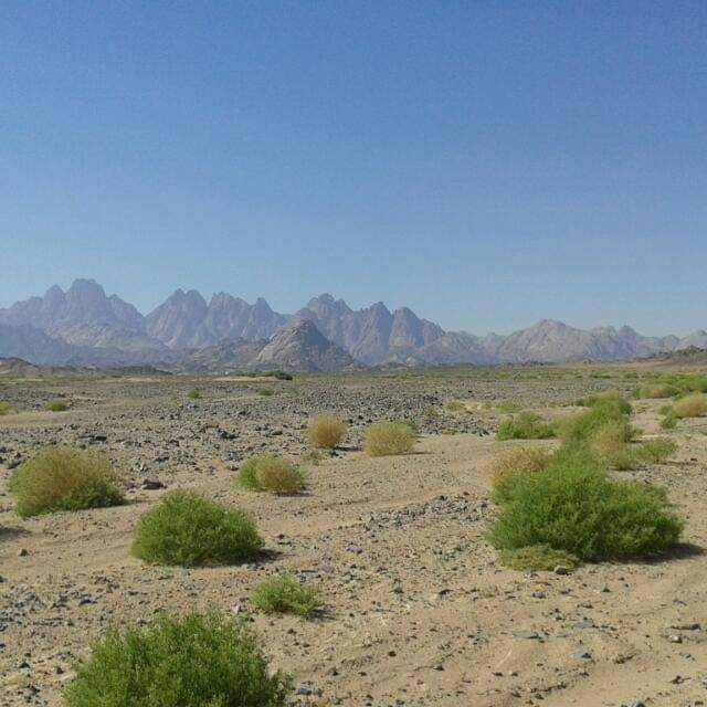 جبل القطار والطبيعة الخلابة