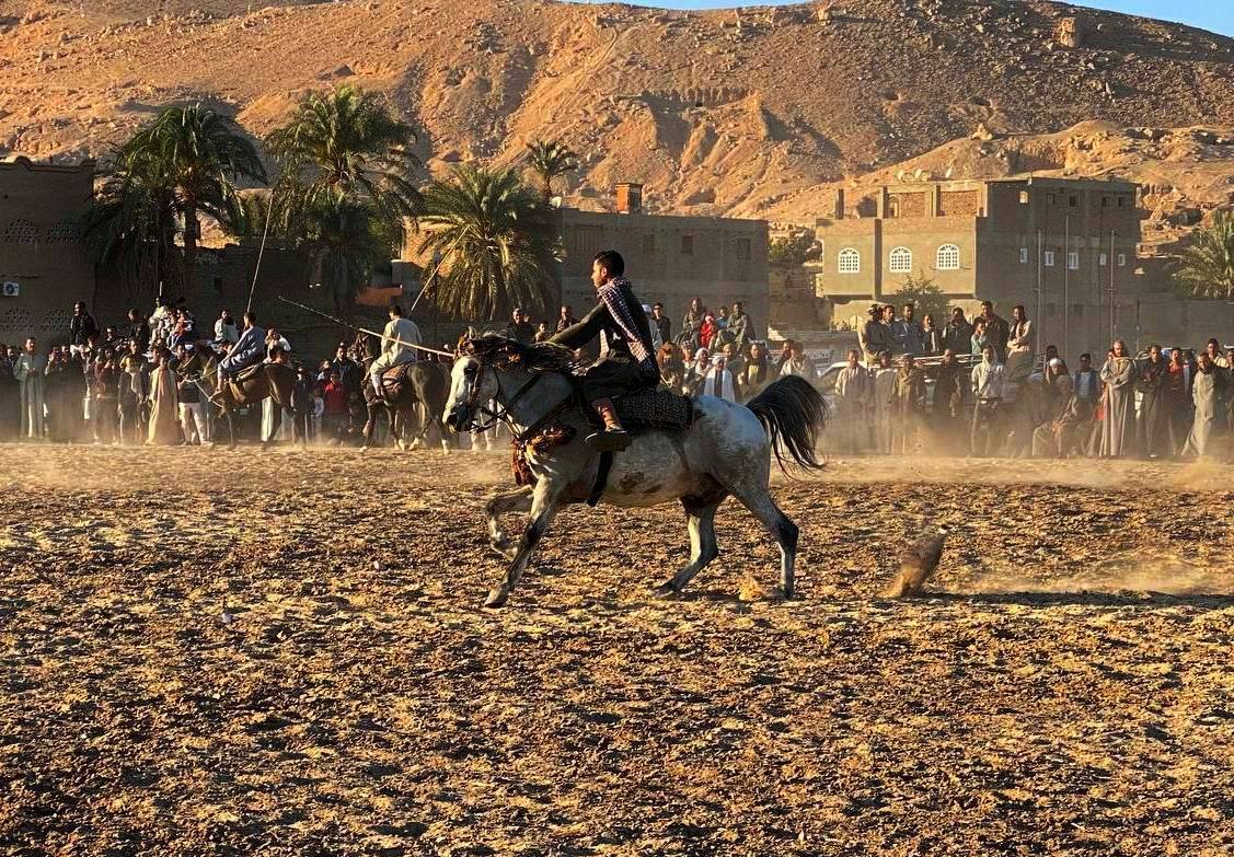 سباقات الخيول بفعاليات مولد أبو القمصان