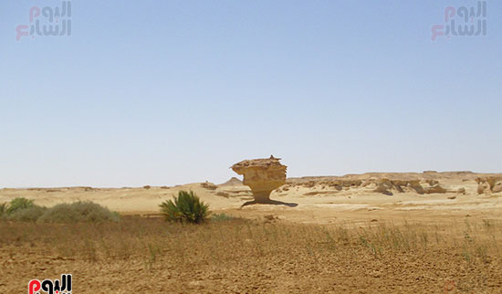 قارة-أم-الصغير-أصغر-واحة-مصرية-معزولة-في-الصحراء-(10)