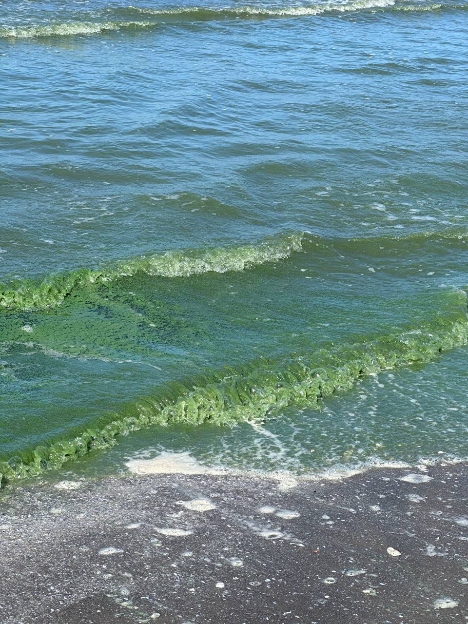 أمواج بمياه خضراء
