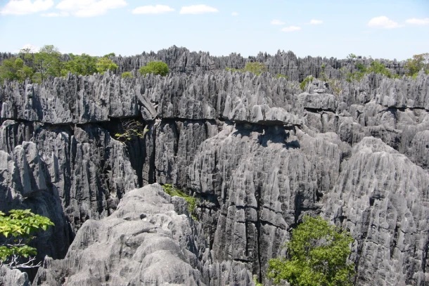 مدغشقر - غابات أندرفانا الجافة
