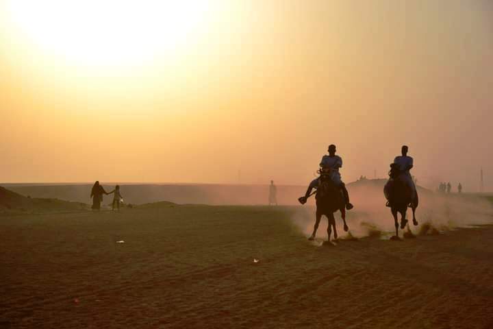 مرماح الخيول