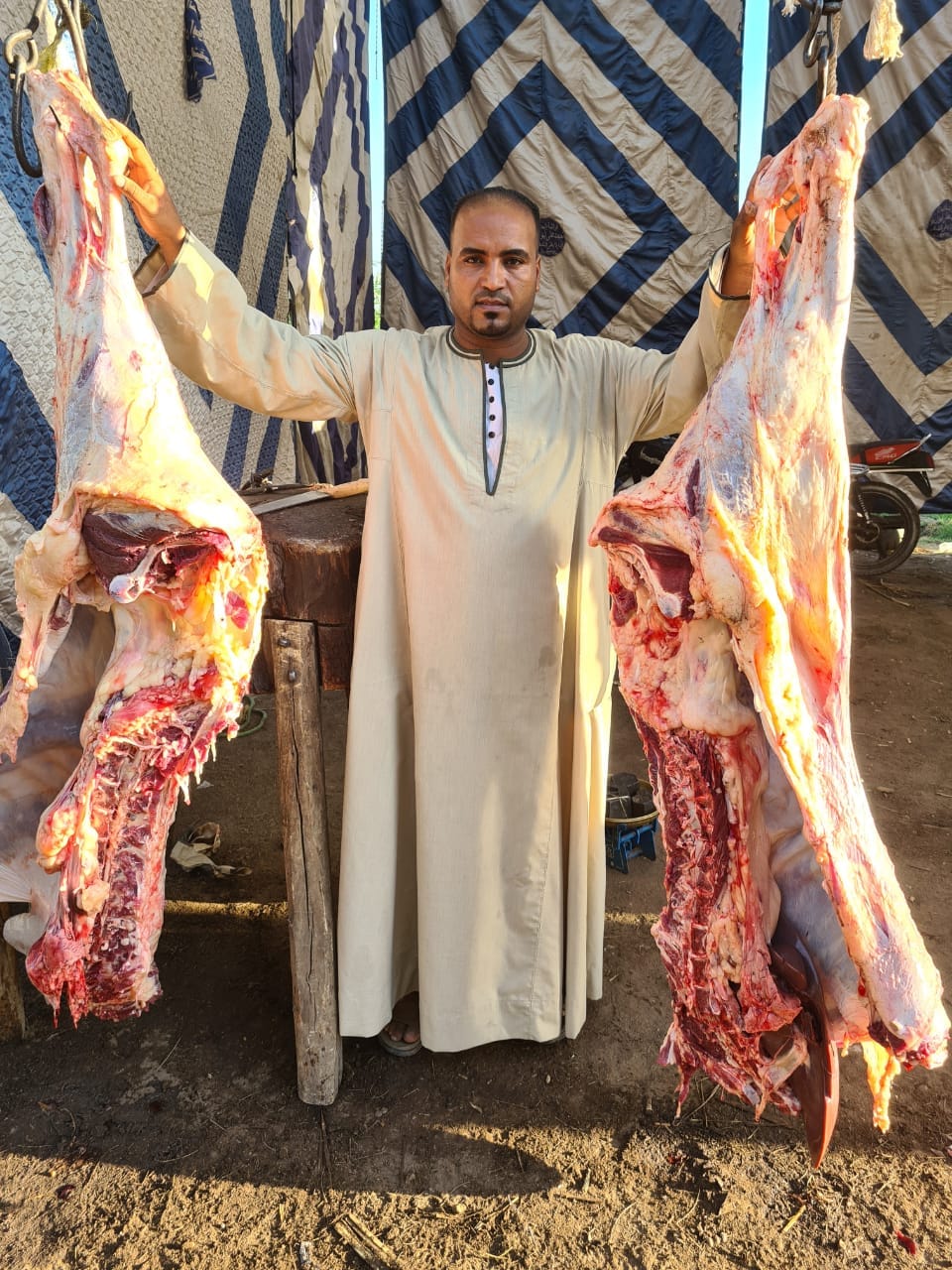توفير اللحوم فى الأسواق الجديدة بمدينة الزينية