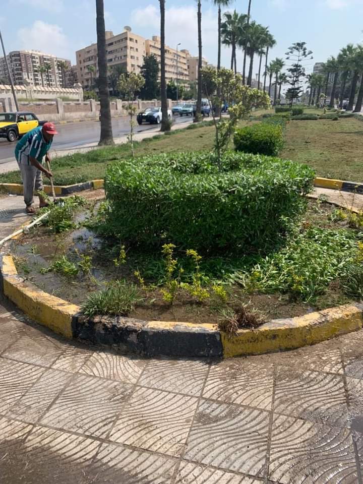 تطوير ورفع كفاءة حدائق المنتزة في الاسكندرية