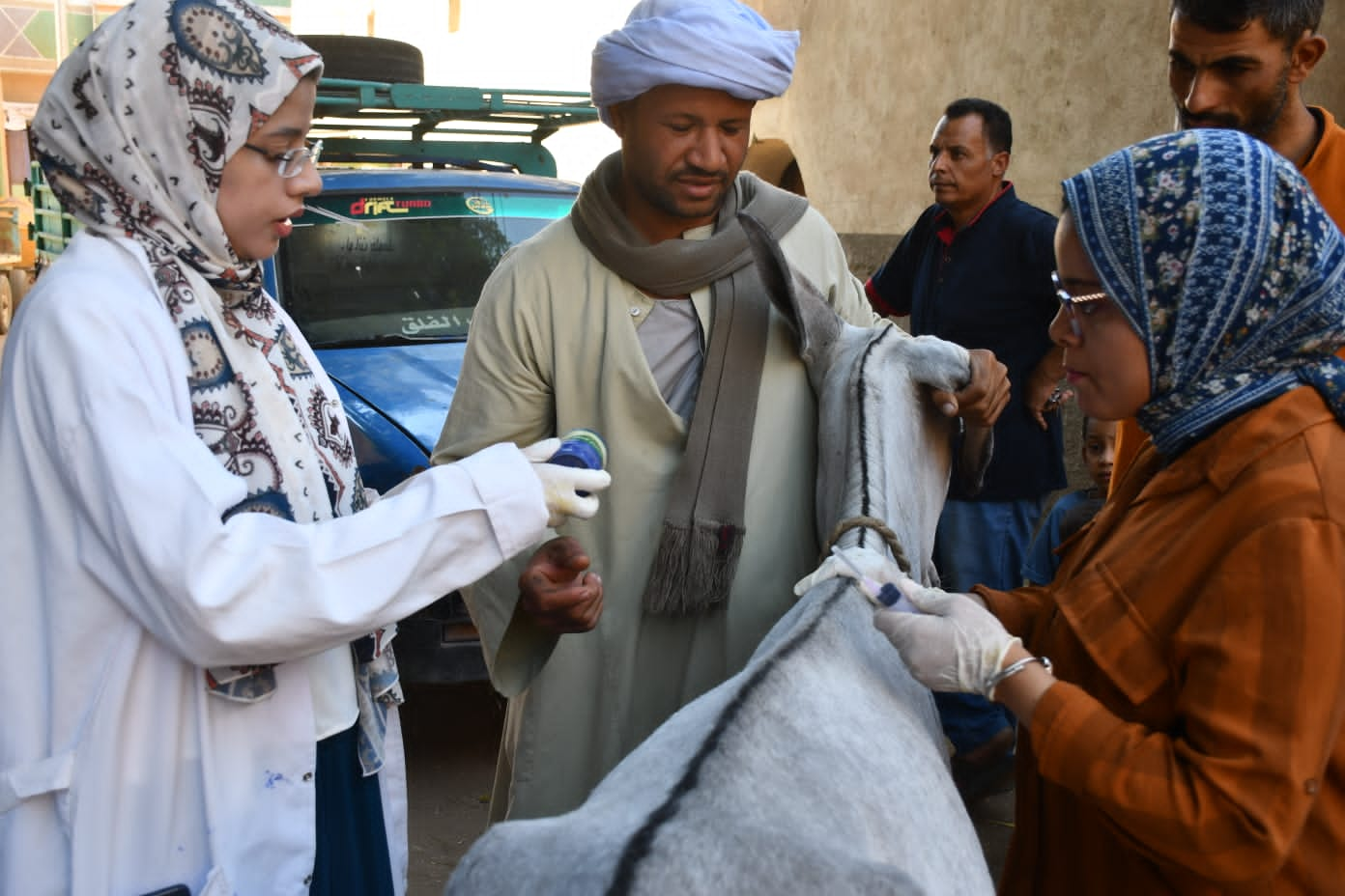 حيوان يتلفى العلاج