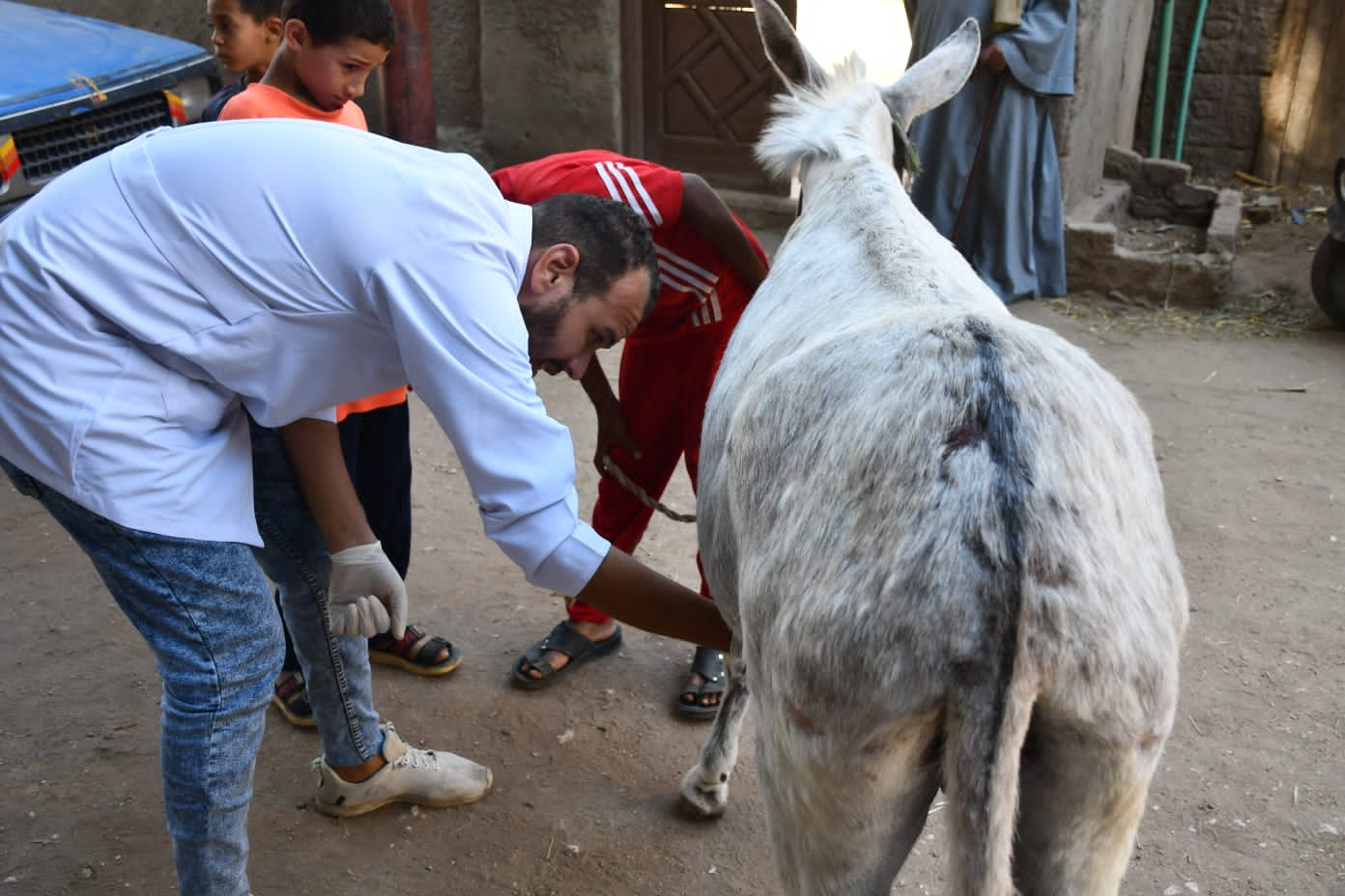 اللإطمئنان على صحة الحيوان