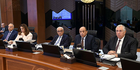 اجتماع مجلس الوزراء (14)