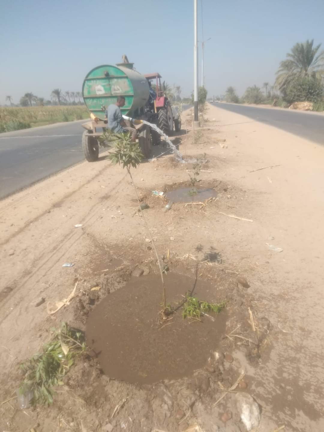 رى الاشجار المثمرة