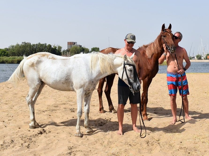 السياح خلال ركوب الخيول على ضفة نهر النيل