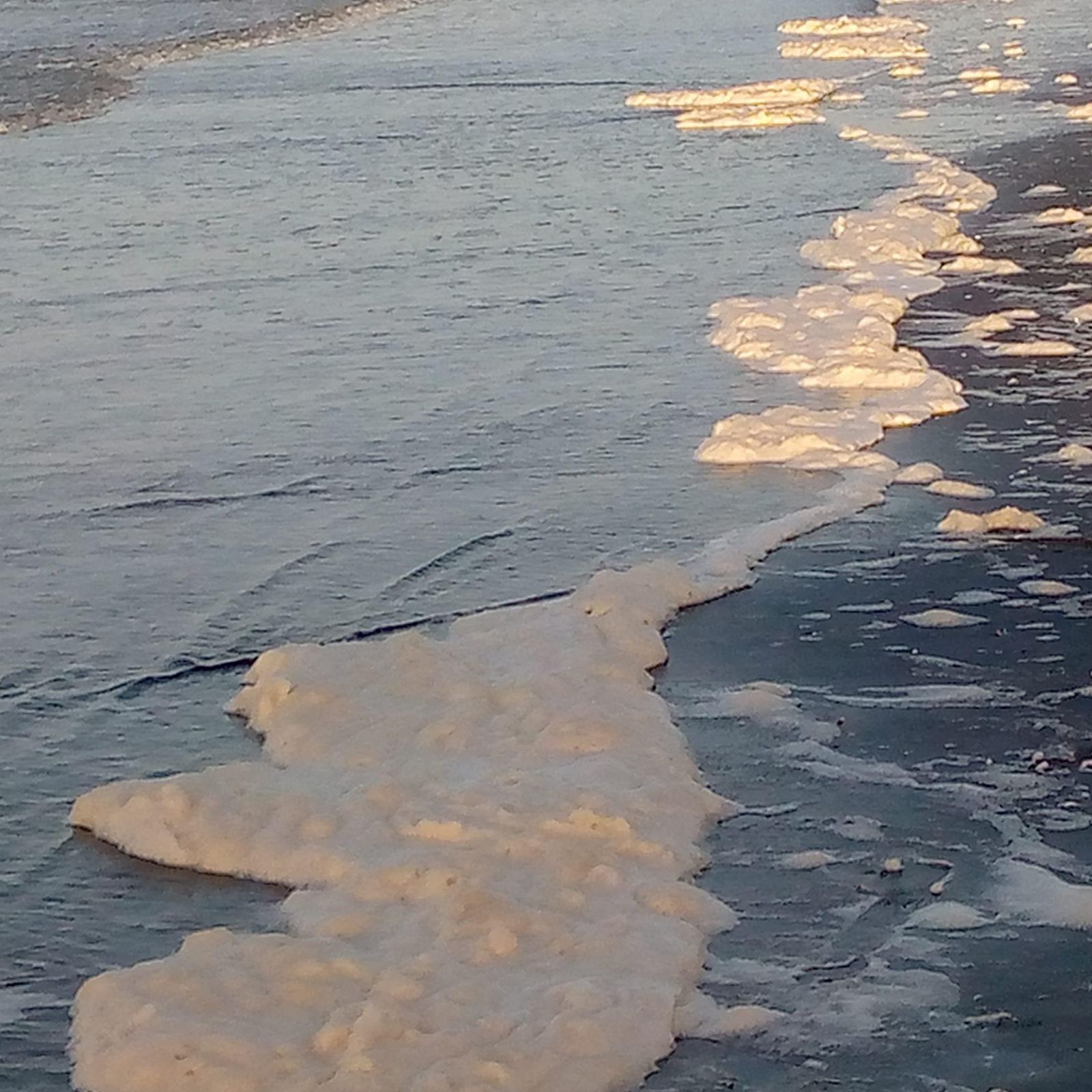 جانب من انتشار زبد البحر على شواطىء بور سعيد