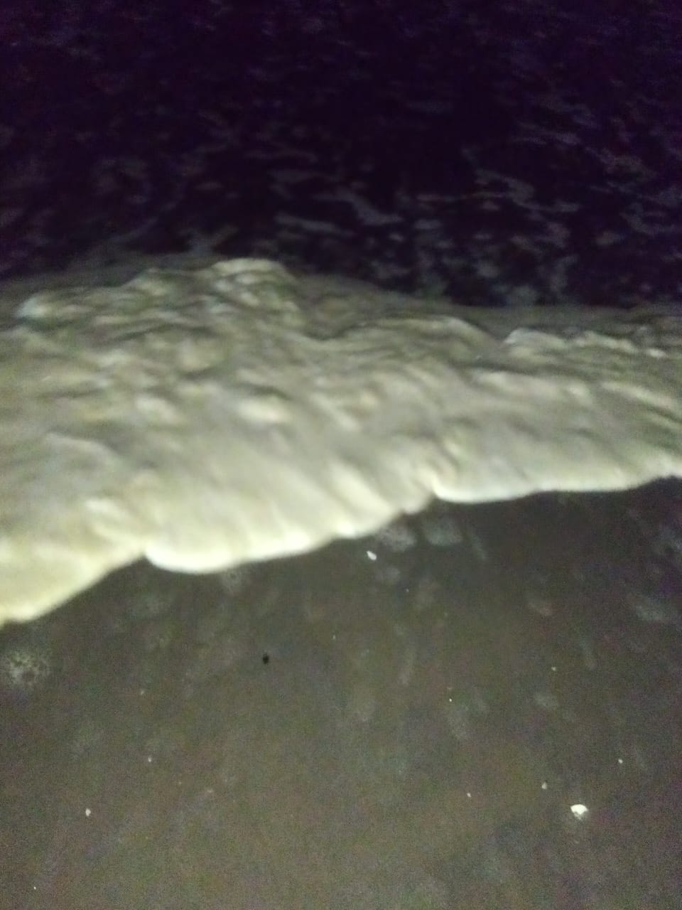 ريم البحر ليلا