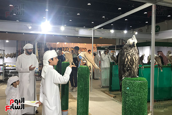 الصقور بالمعرض الصقور بالمعرض