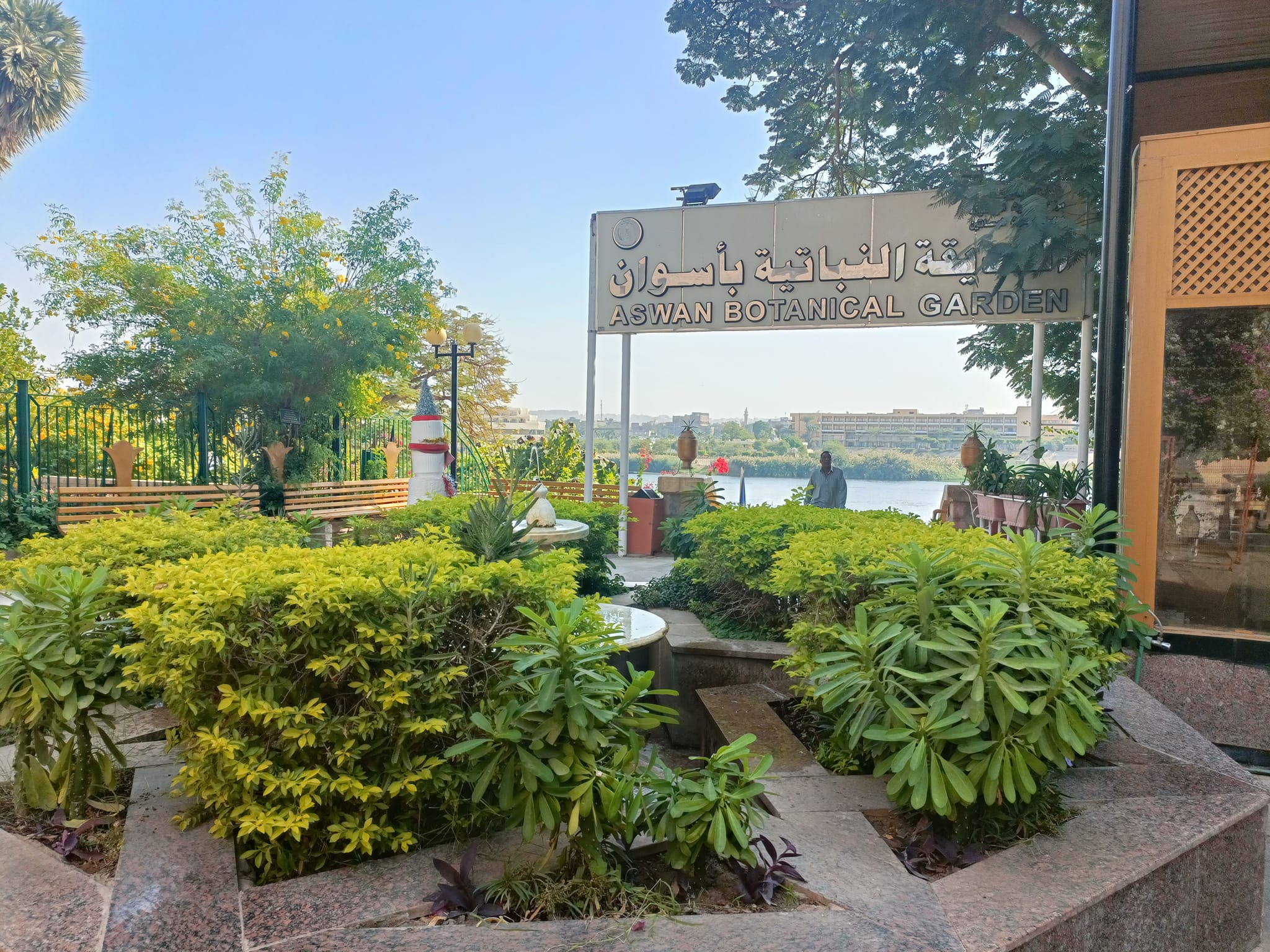 الحديقة النباتية بأسوان