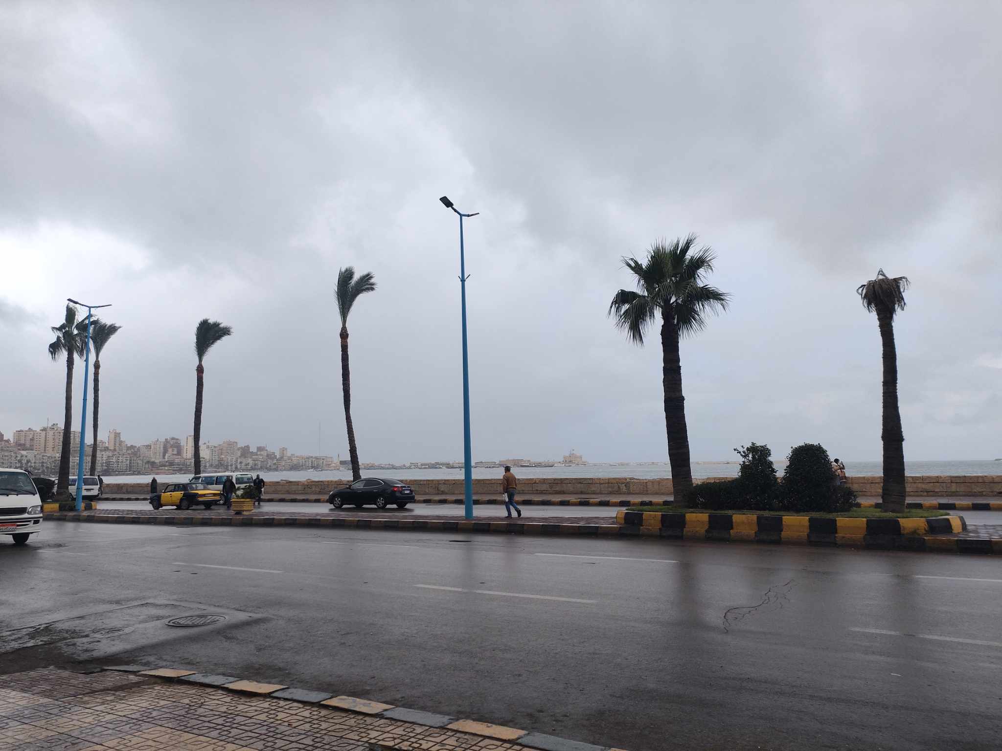 امطار علي الإسكندرية وانخفاض في درجات الحرارة