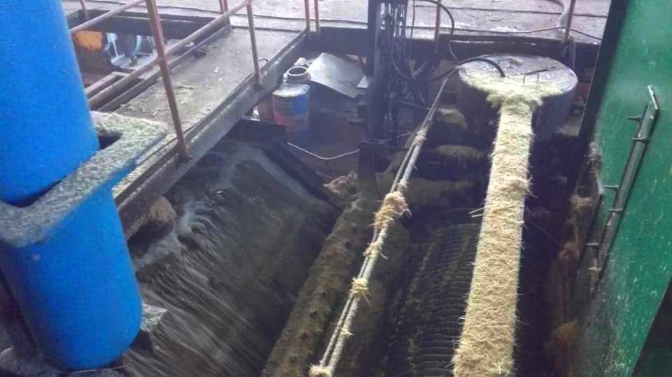 كيف يتم صناعة وإستخراج السكر من عود القصب داخل مصنع سكر أرمنت