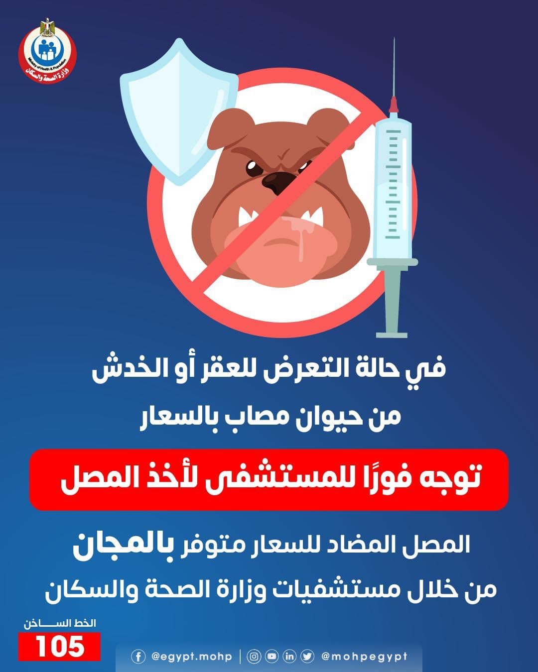 وزارة الصحة: المصل المضاد للسعار متوفر فى المستشفيات بالمجان - اليوم السابع