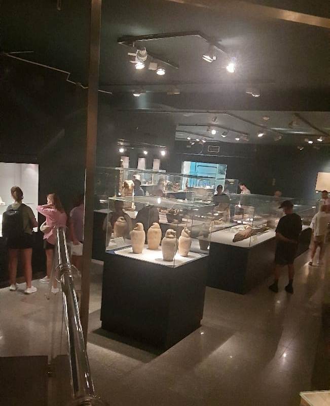 زيارات السياح داخل المتحف يومياً