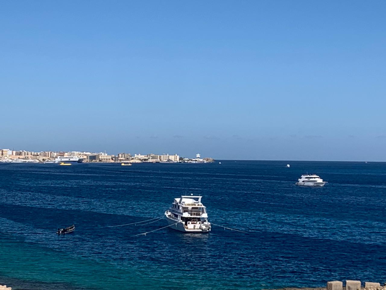الحياه البحرية المنظر الخلابة بالغردقة الحياه البحرية المنظر الخلابة بالغردقة