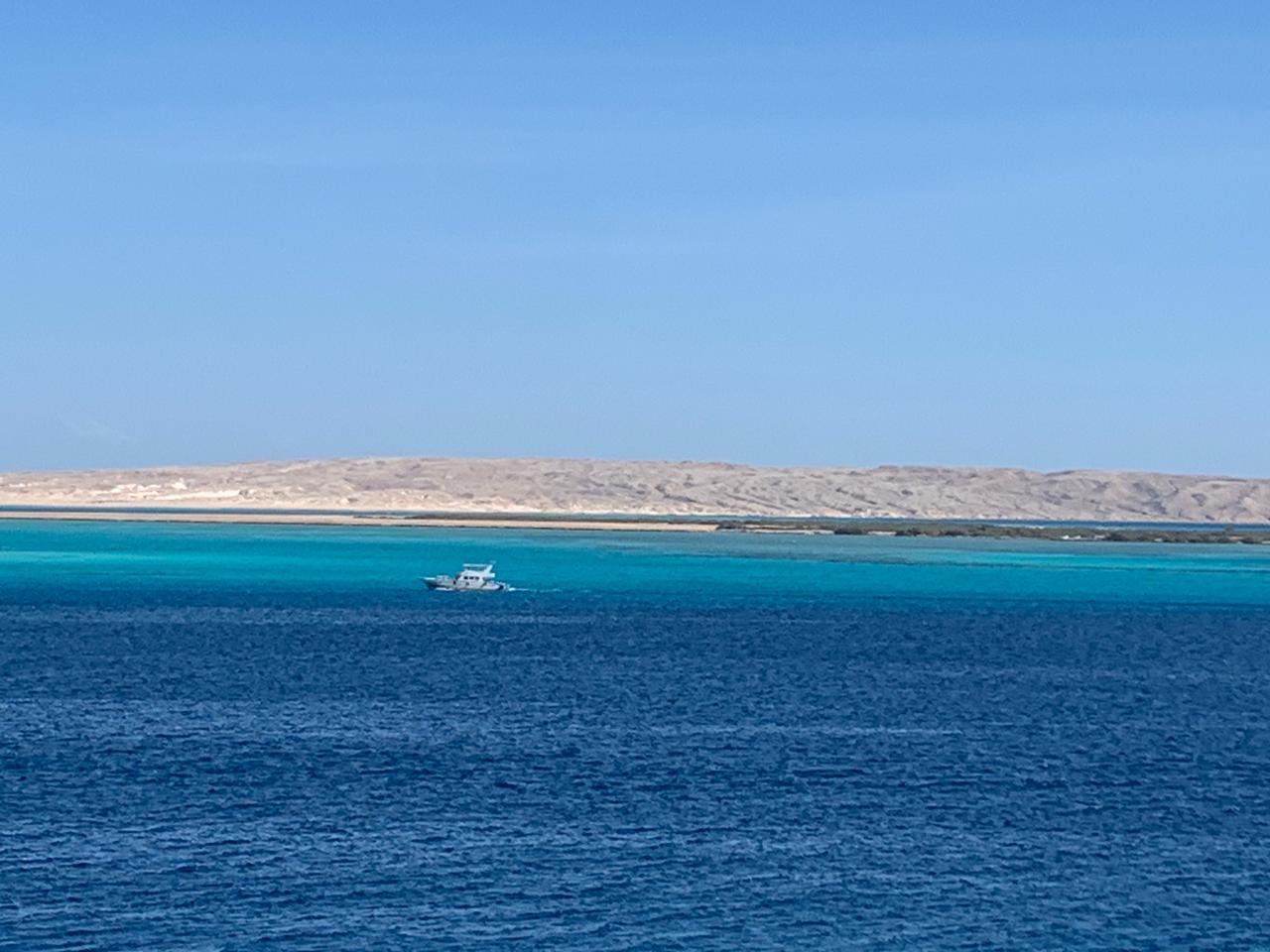 جزيرة الجفتون جزيرة الجفتون