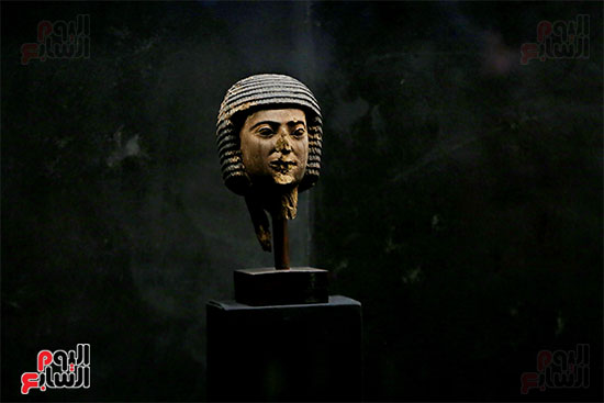 متحف إيمحتب (14)