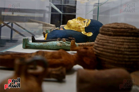 متحف إيمحتب (25)