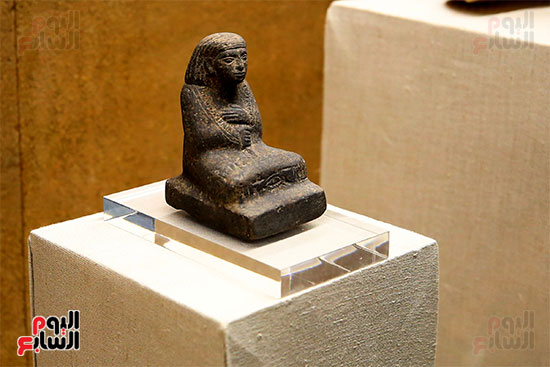 متحف إيمحتب (28)