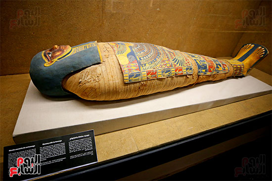 متحف إيمحتب (27)