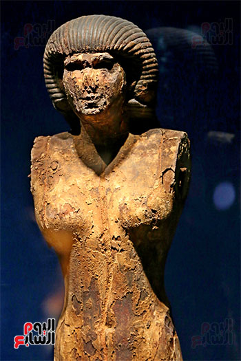 متحف إيمحتب (21)