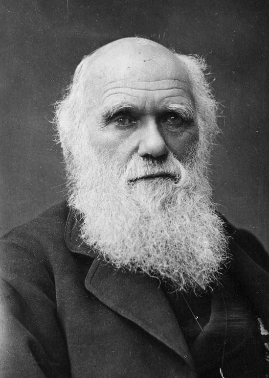 تشارلز داروين عالم طبيعة وجيولوجي وبيولوجي