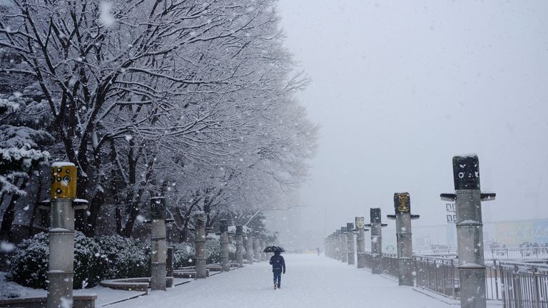 تساقط الثلوج فى كوريا الجنوبية (1)