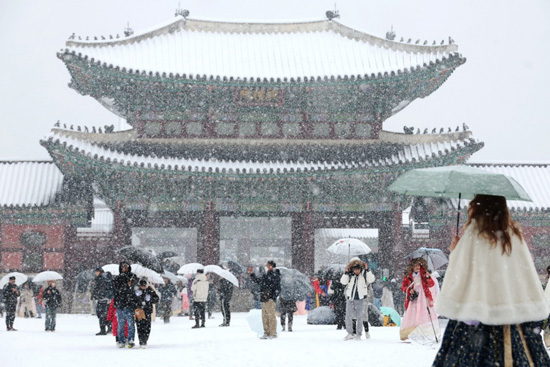 تساقط الثلوج فى كوريا الجنوبية (6)