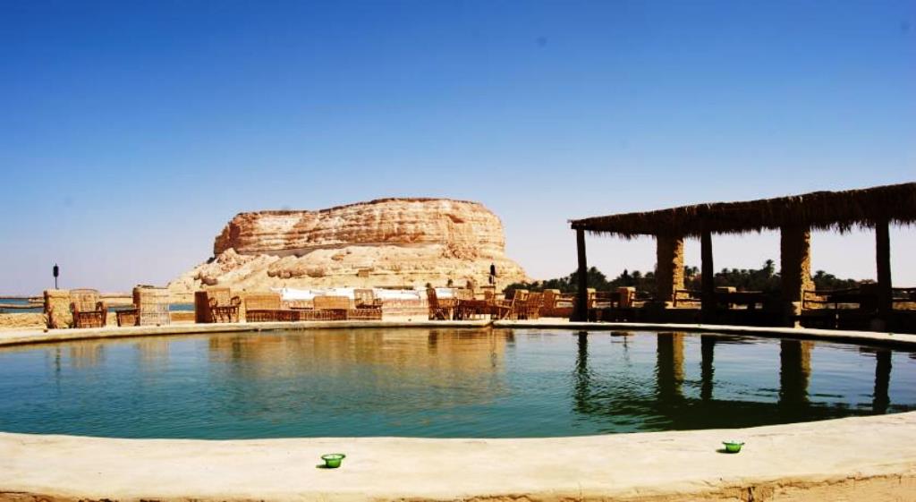تجربة لا تُنسى: تفاعل السياح مع سكان سوق سيوة - التفاعل مع البائعين