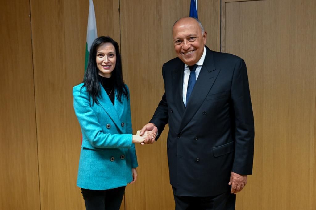 لقاء الوزير شكري مع نائبة رئيس وزراء بلغاريا