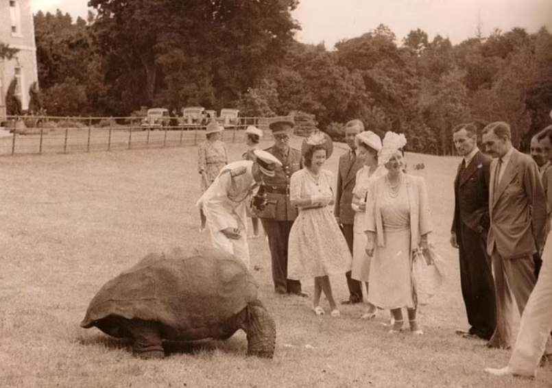 زيارة إليزابيث للسلحفاة عام 1947