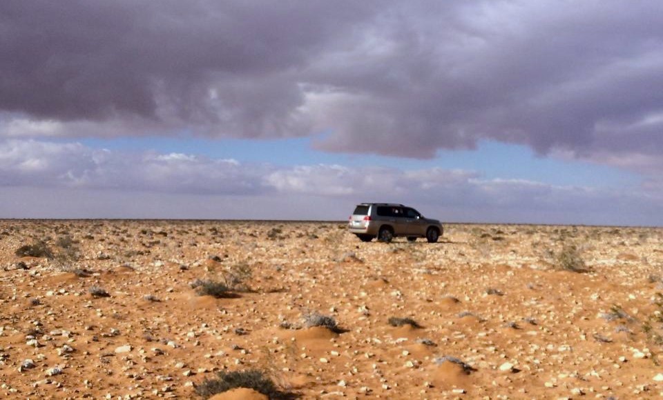 رحلات البحث عن فطر الترفاس في صحراء مطروح