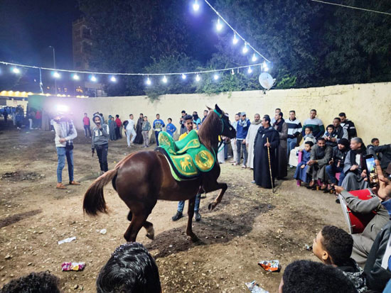 حلقات-رقص-الخيول-بمولد-الشيخ-أبو-الغطاس-بالعوامية