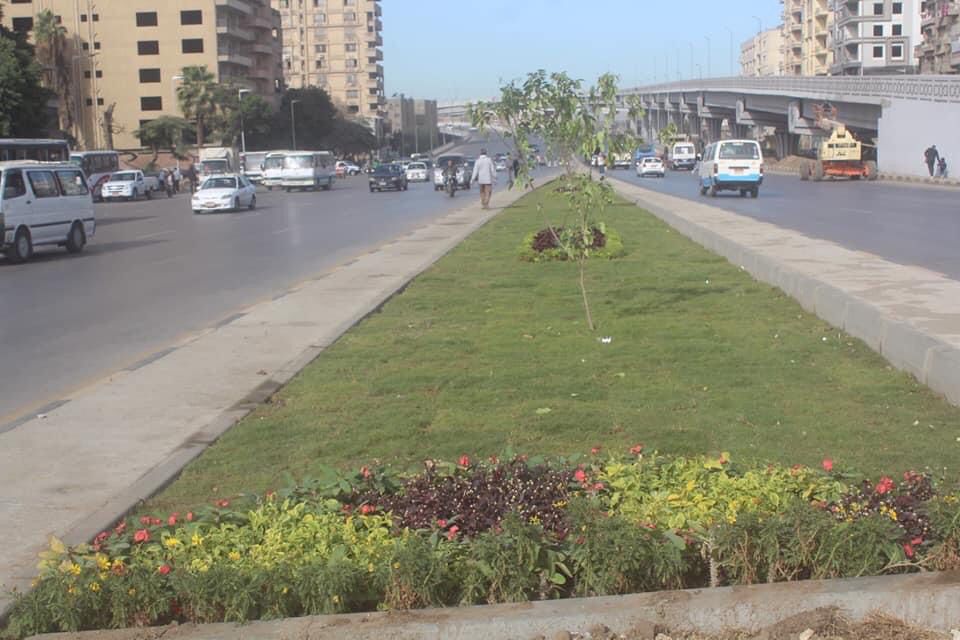 تجميل وتطوير شارع أحمد عرابي بالعجوزة