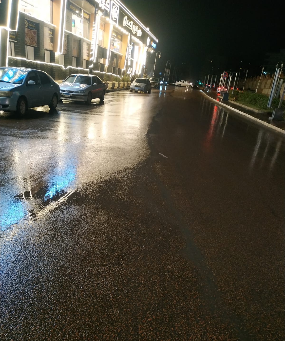 مطر الإسكندرية (2)