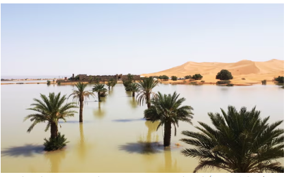 فيضانات الصحراء الكبرى