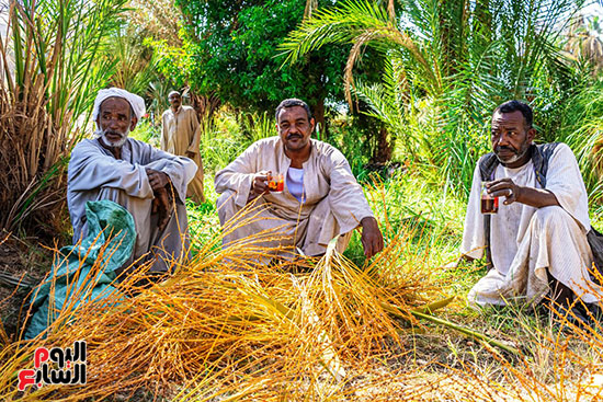 العمال-يلتقطون-انفاسهم-ويشربون-الشاى