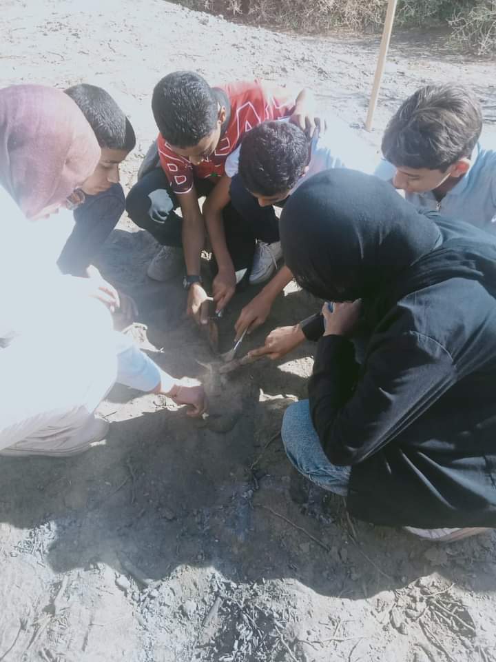 أنشطة متنوعة للطلاب أنشطة متنوعة للطلاب