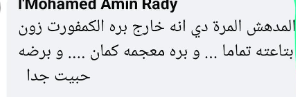 محمد أمين راضي