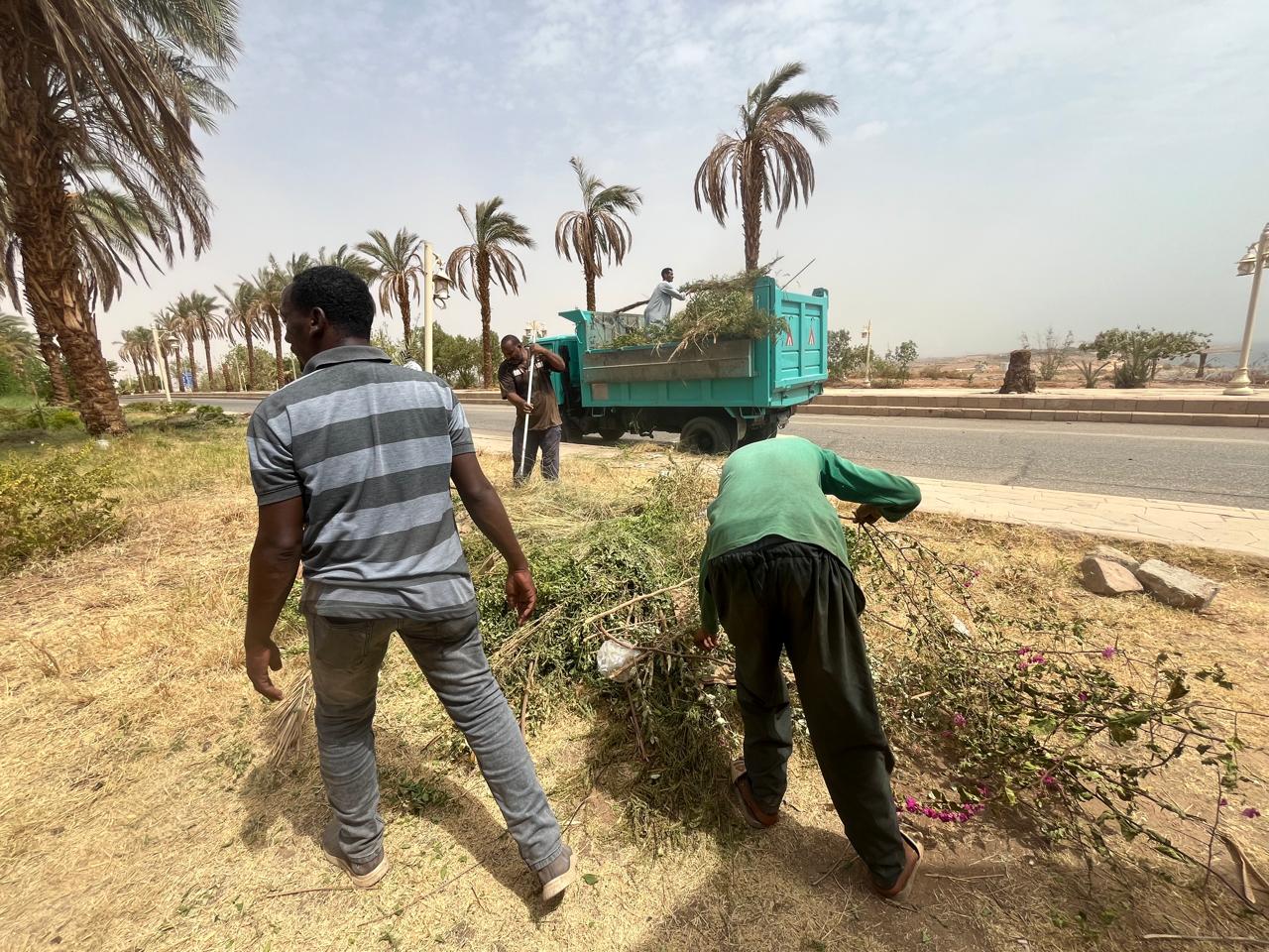 إزالة الحشائش إزالة الحشائش