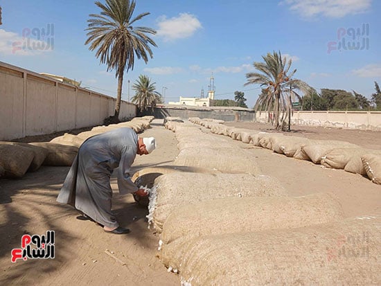 العرض-الذهب الأبيض