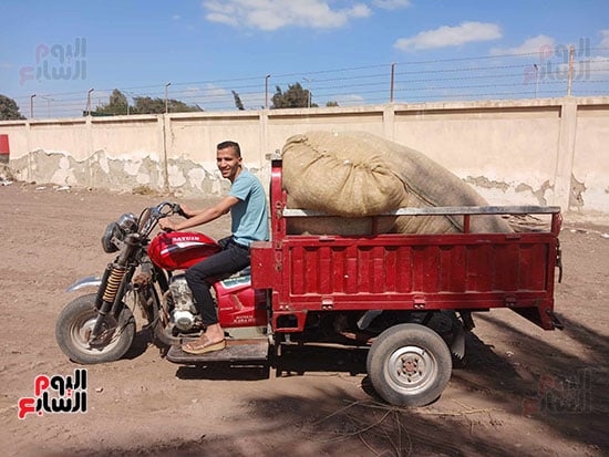 الزراعية - الشرقية