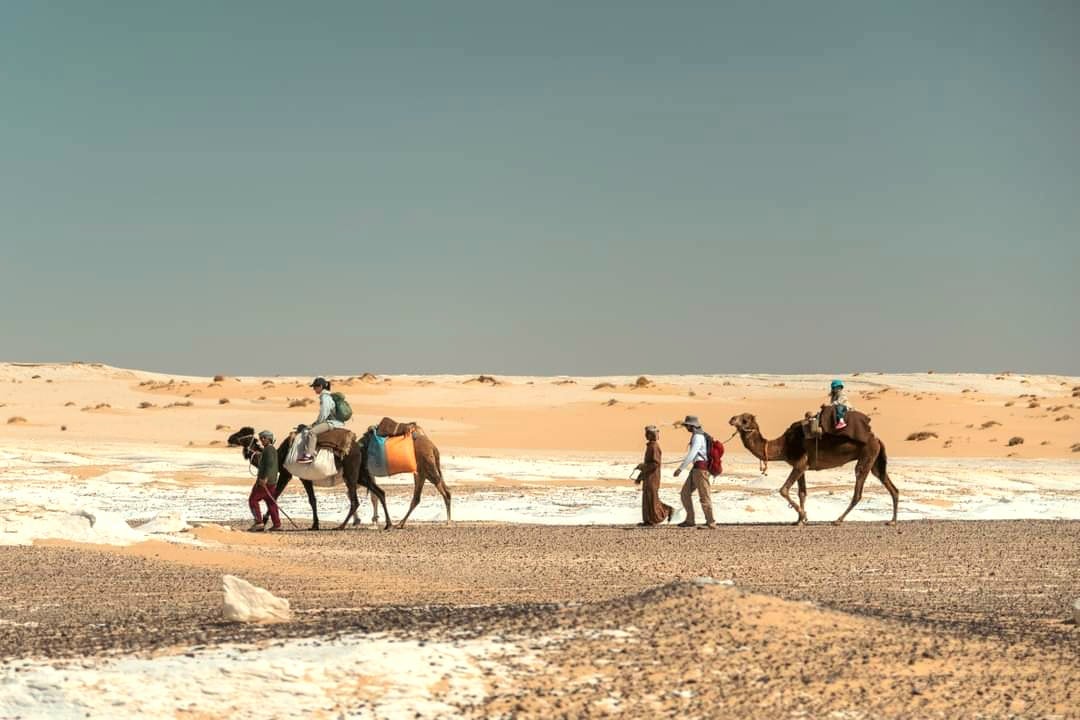 سياحة السفارى بالوادى الجديد