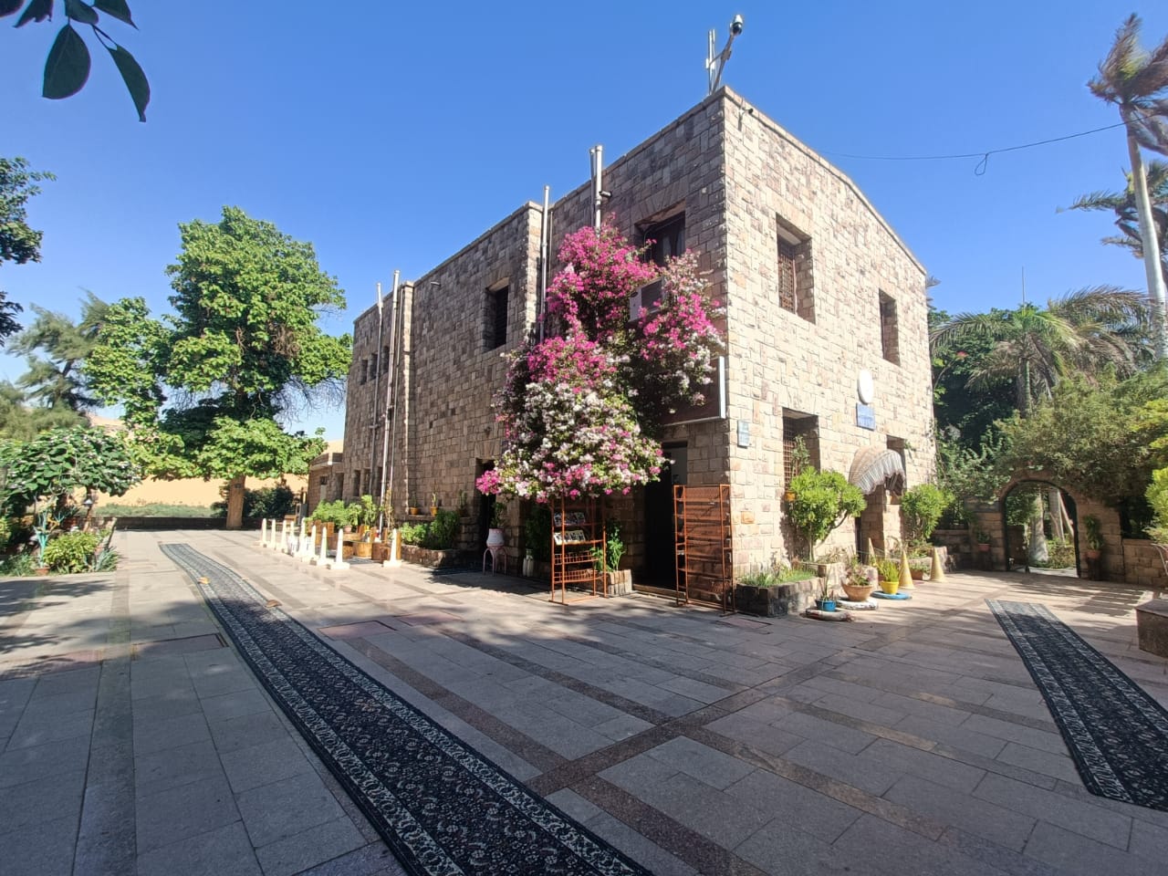 جزيرة النباتات جزيرة النباتات