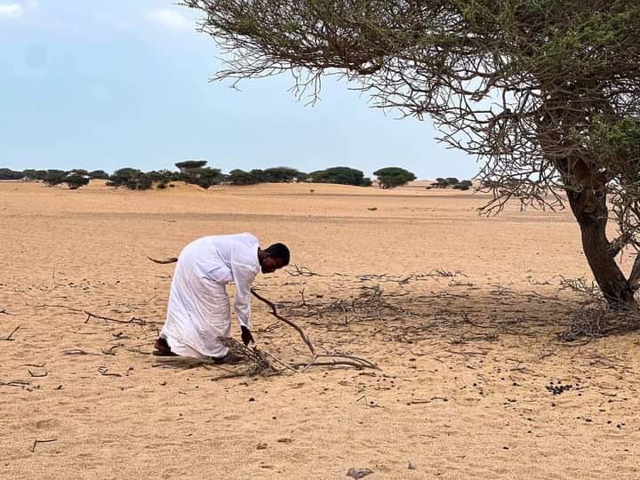 جمع مصدر الطاقة فى الصحراء 