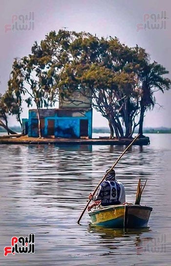 جزيرة-الشخلوبة