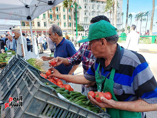 السوق-الواحد-للمزارعين-والمنتجات-الغذائية--بالإسكندرية-لأول-مرة